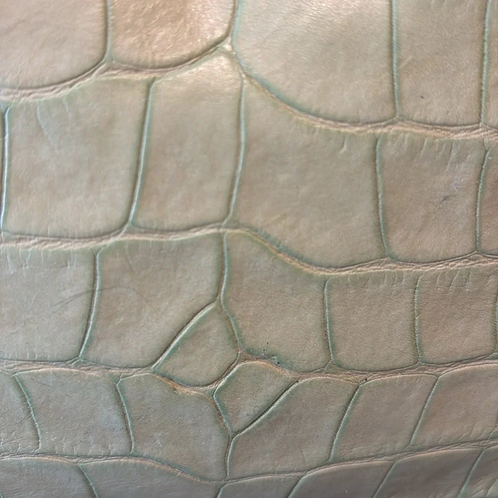 Dooney & Bourke  Vintage  alligator Satchel  Leather  Lt. Green  Front pocket